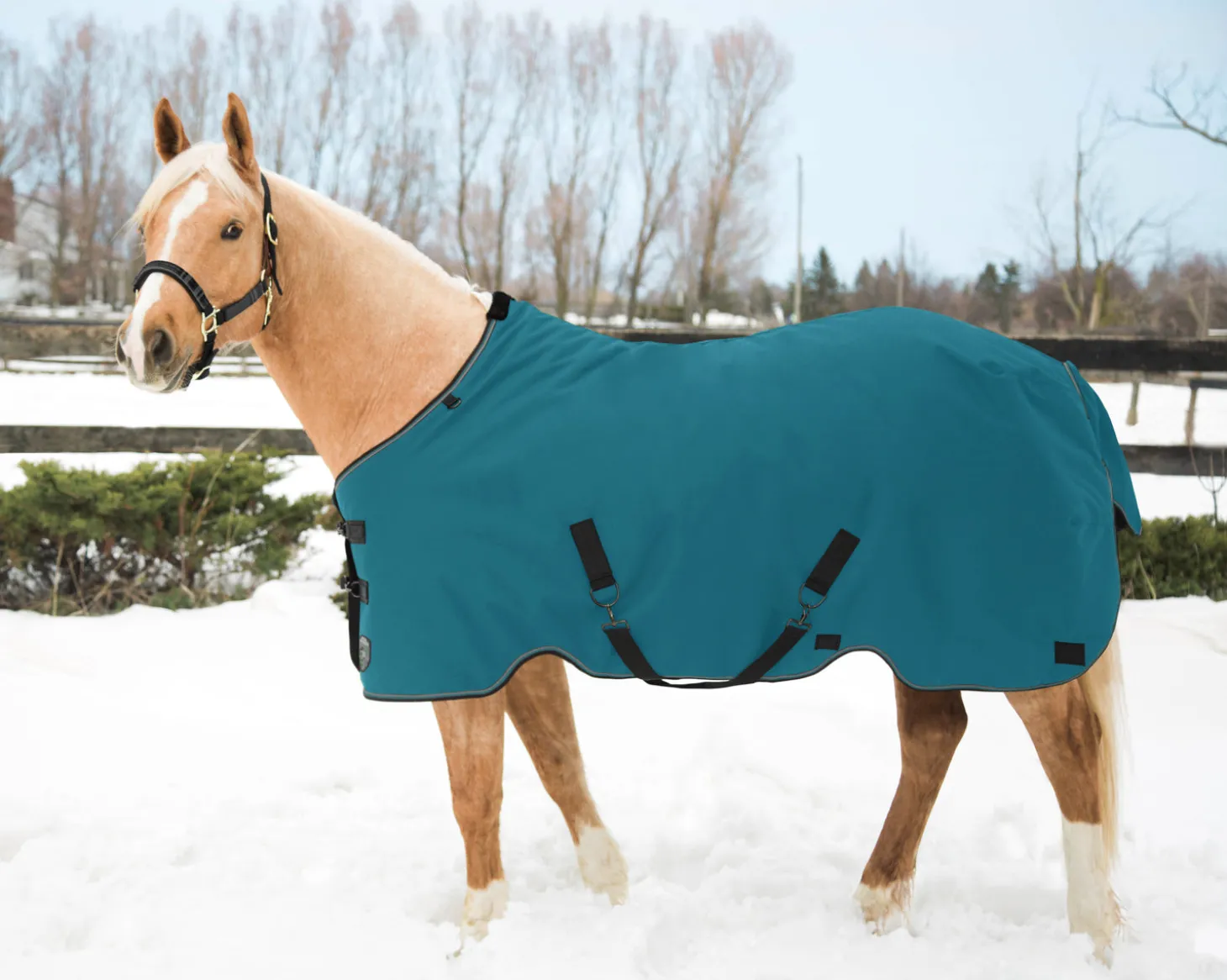 Kensington™ Pony Signature Medium Weight Turnout Blanket