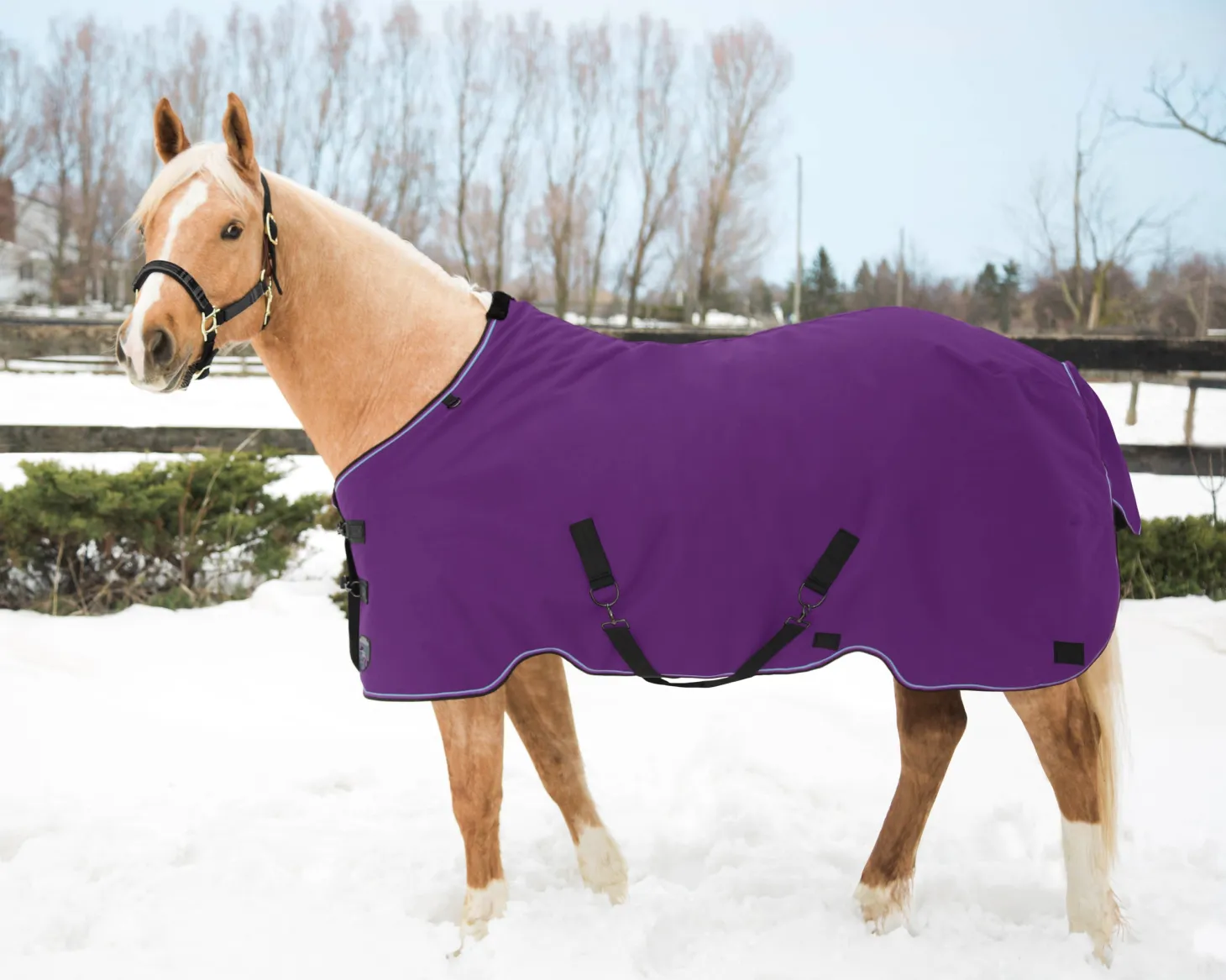 Kensington™ Pony Signature Lightweight Turnout Blanket