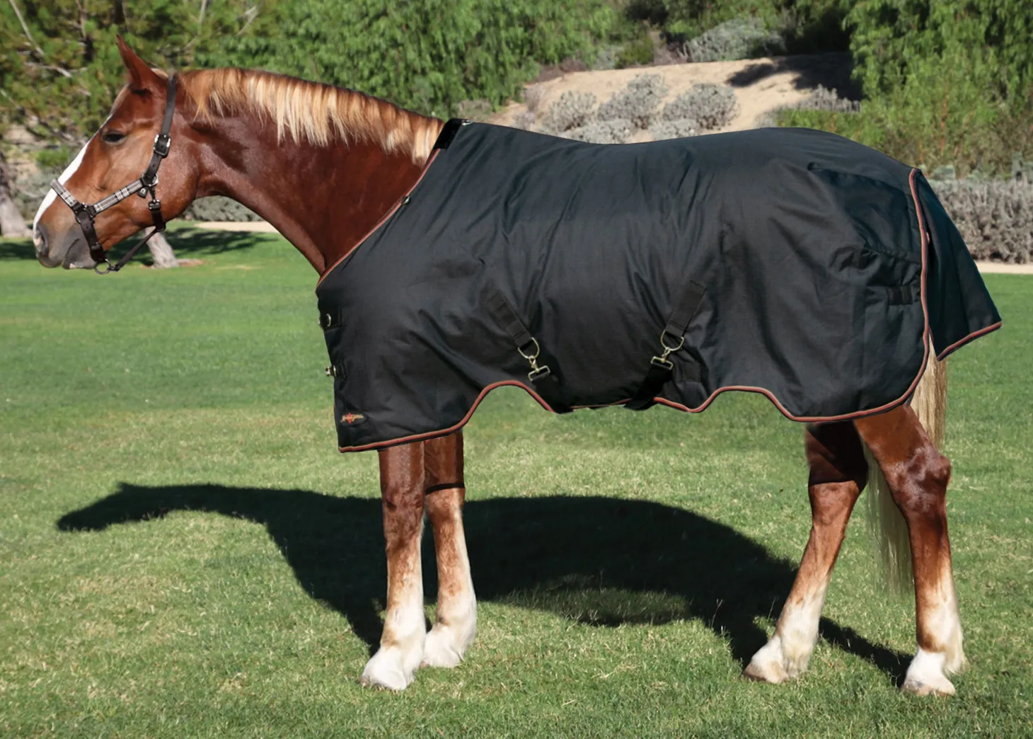 Kensington™ Pony Signature Lightweight Turnout Blanket