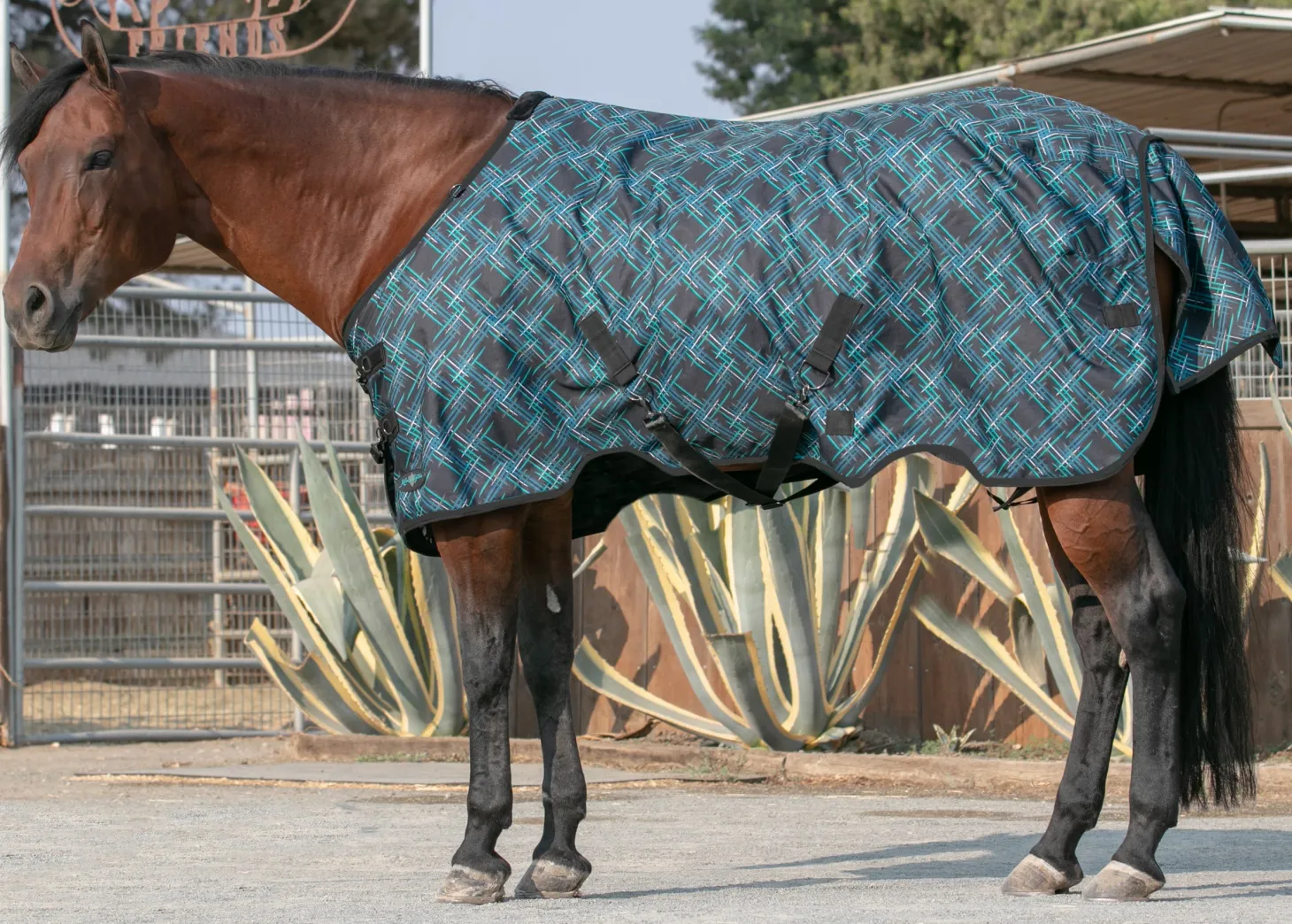 Kensington™ Pony Signature Lightweight Turnout Blanket