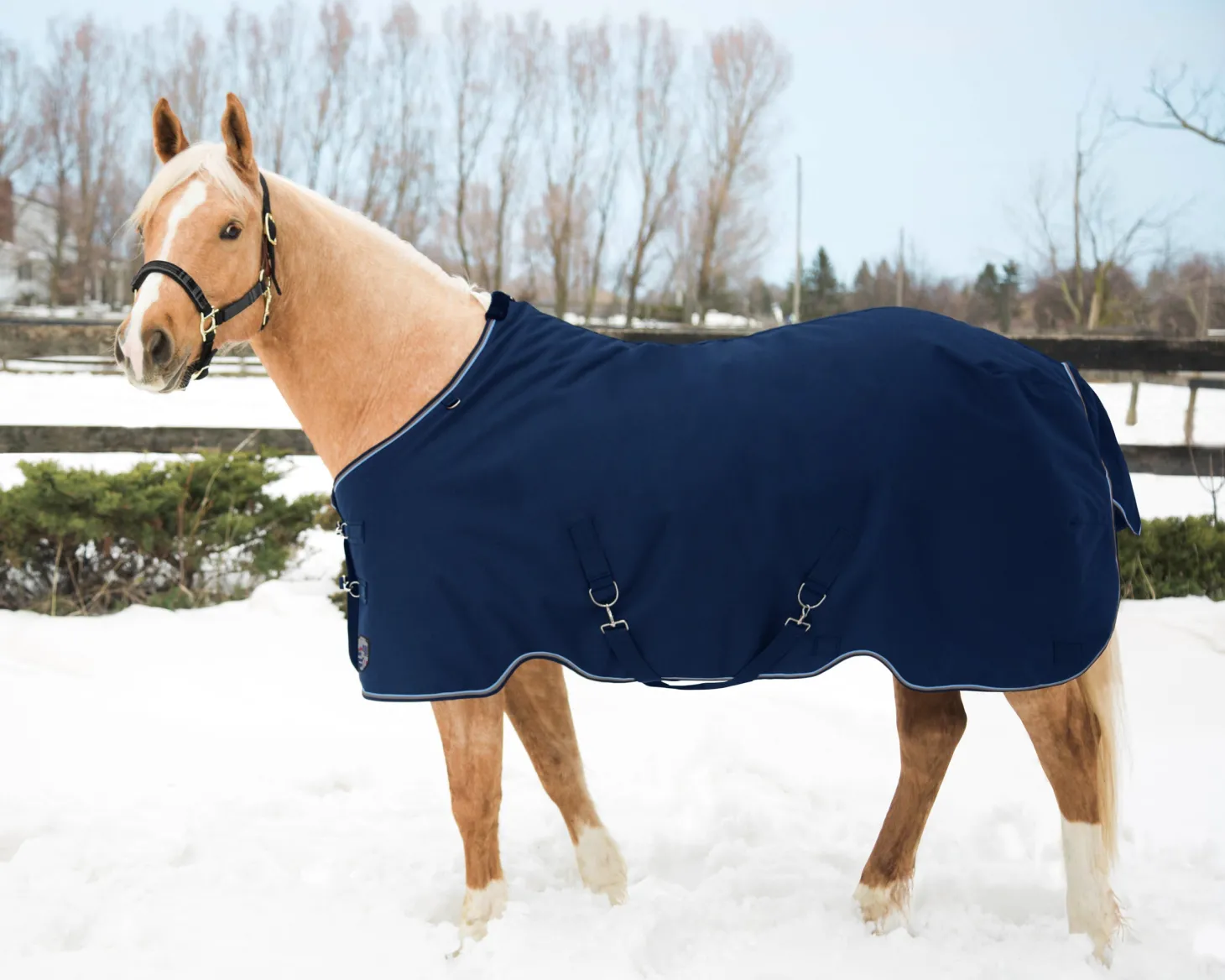 Kensington™ Pony Signature Lightweight Turnout Blanket