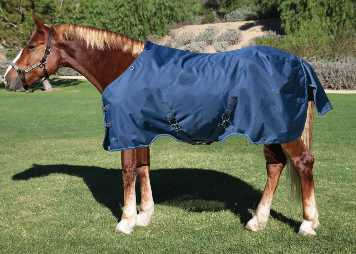 Kensington™ Pony Signature Lightweight Turnout Blanket