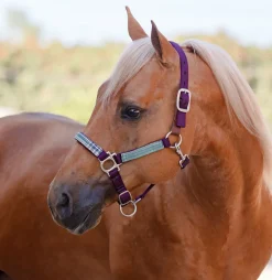 Kensington™ Premium Breakaway Halter