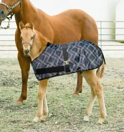 Kensington™ Signature Adjustable Large Foal Turnout