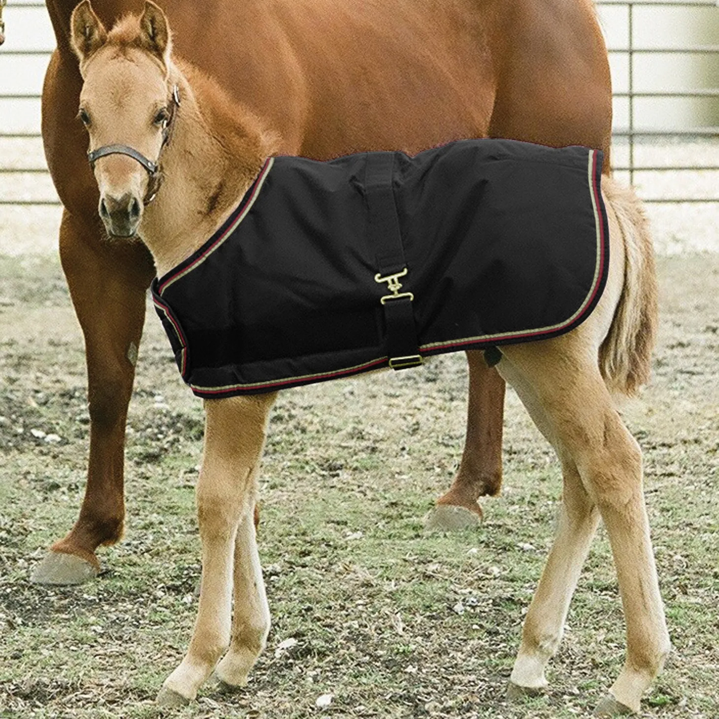 Kensington™ Signature Adjustable Small Foal Turnout Blanket