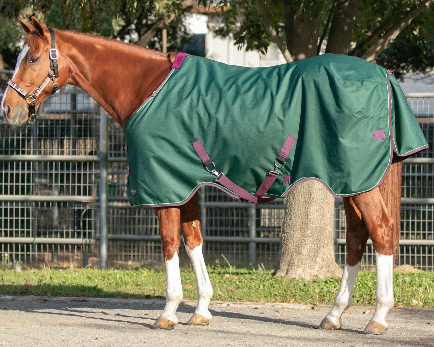 Kensington™ Signature Heavyweight Turnout Blanket