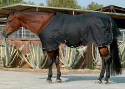 Kensington™ Signature Medium-Weight Turnout Blanket