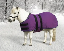 Kensington™ Signature Mini Heavyweight Turnout Blanket