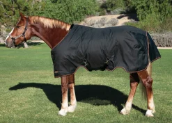 Kensington™ XL Signature Medium-Weight Turnout Blanket