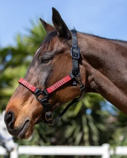 Kensington™ Premium Halter