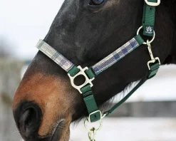 Kensington™ Premium Halter