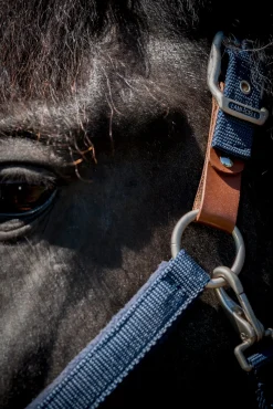 Lami-Cell Fleece-Lined Halter