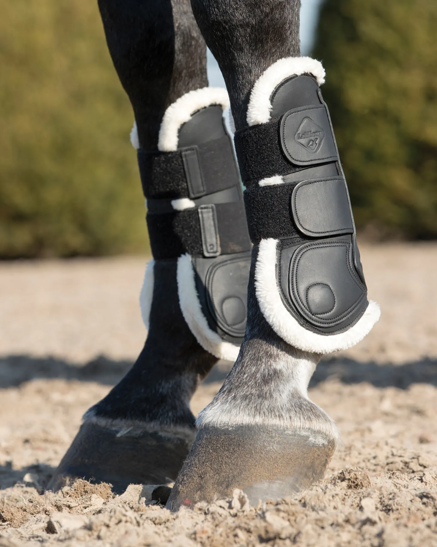 LeMieux® Capella Comfort Tendon Boots