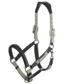 LeMieux® Capella Headcollar