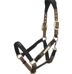 LeMieux® Capella Headcollar