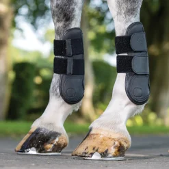 LeMieux® Capella Tendon Boots