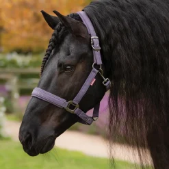 LeMieux® Essence Halter