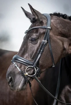 LeMieux® Kudos Dressage Flash Bridle