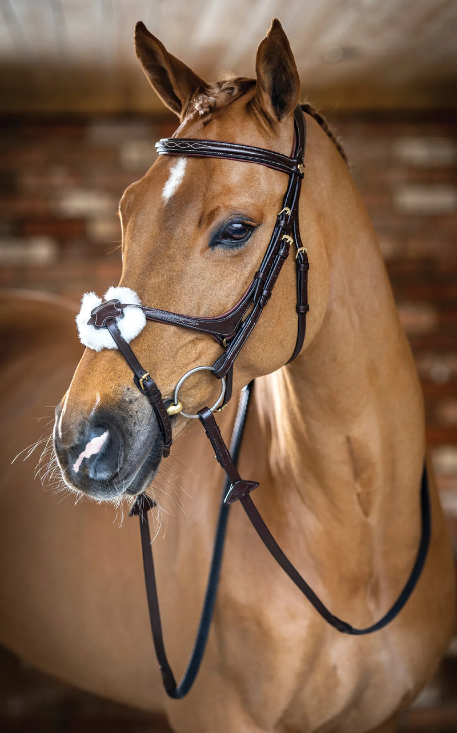 LeMieux® Kudos Figure-8 Bridle