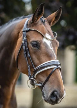 LeMieux® Kudos Patent Leather Dressage Bridle