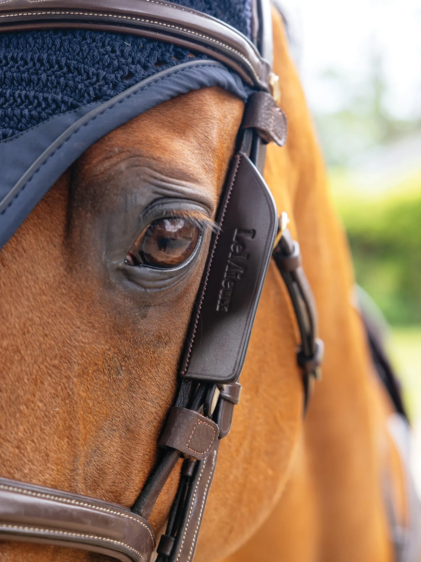 LeMieux® Leather Bridle Blinkers
