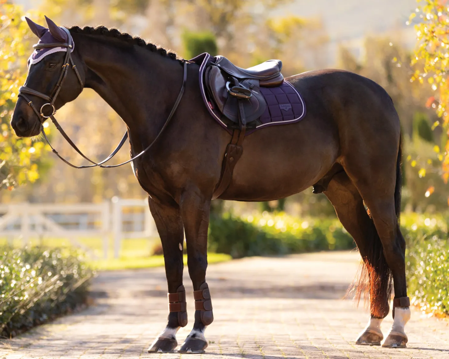LeMieux® Loire Classic Close Contact Saddle Pad