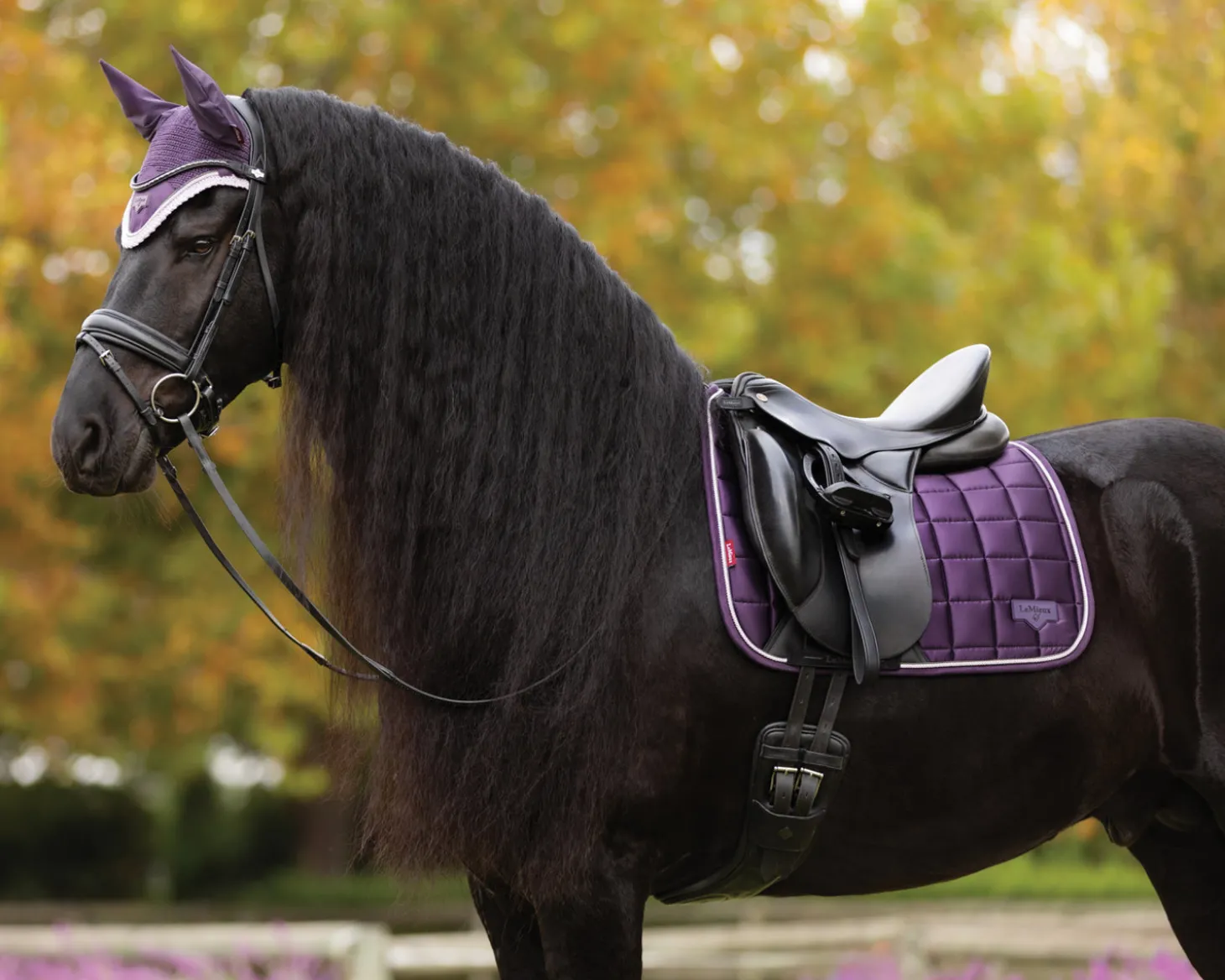 LeMieux® Loire Classic Dressage Saddle Pad