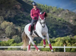 LeMieux® Loire Polo Bandages