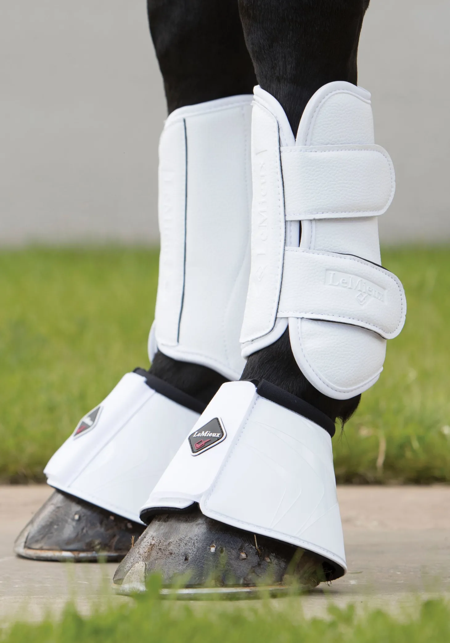 LeMieux® Pro Schooling Boots