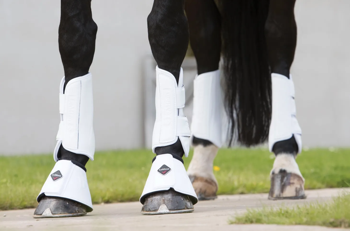 LeMieux® Pro Schooling Boots