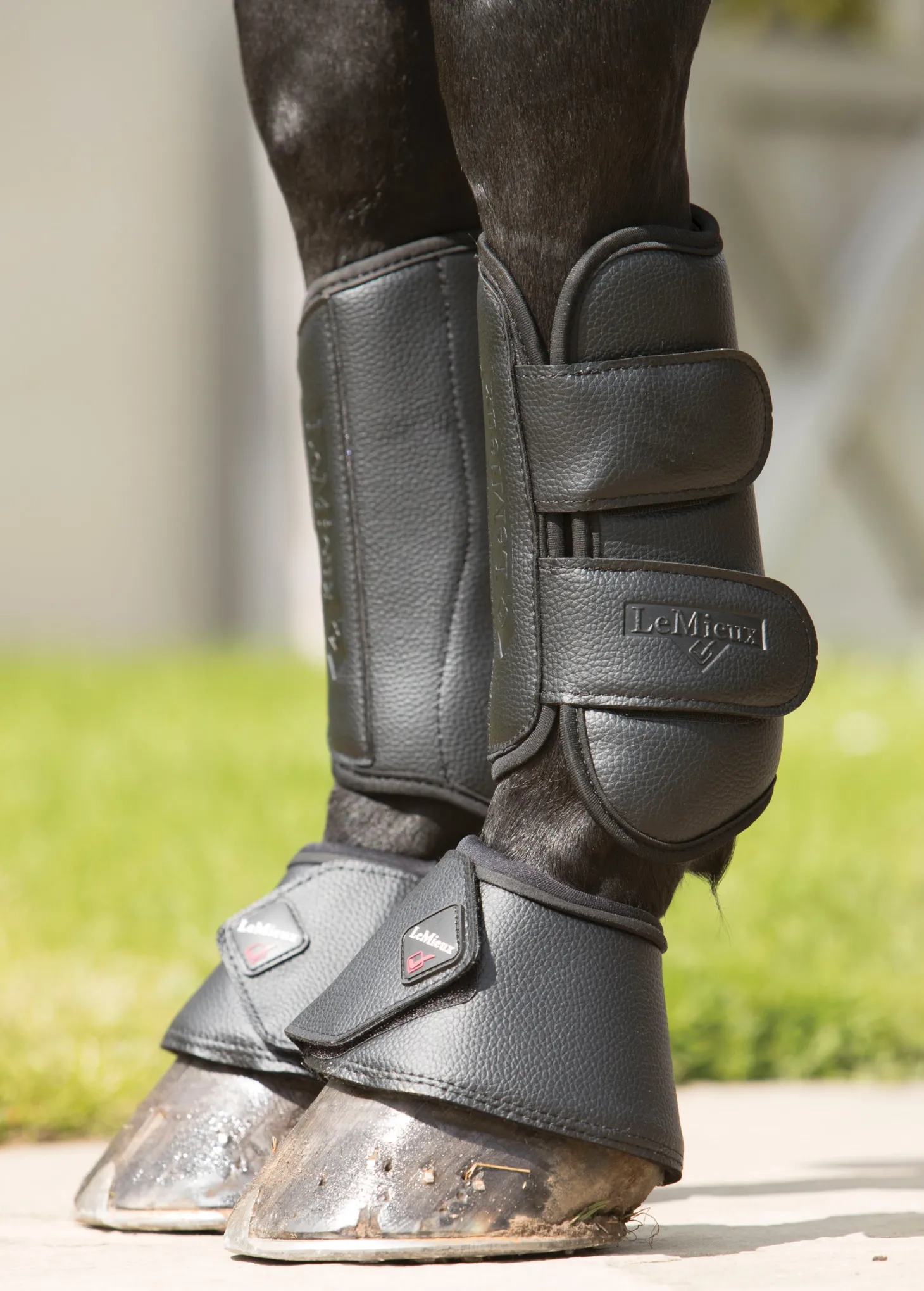 LeMieux® Pro Schooling Boots