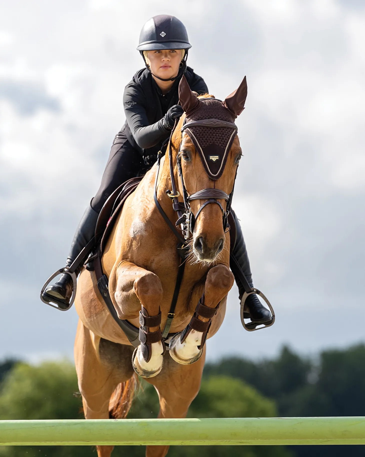 LeMieux® Puissance Fly Hood