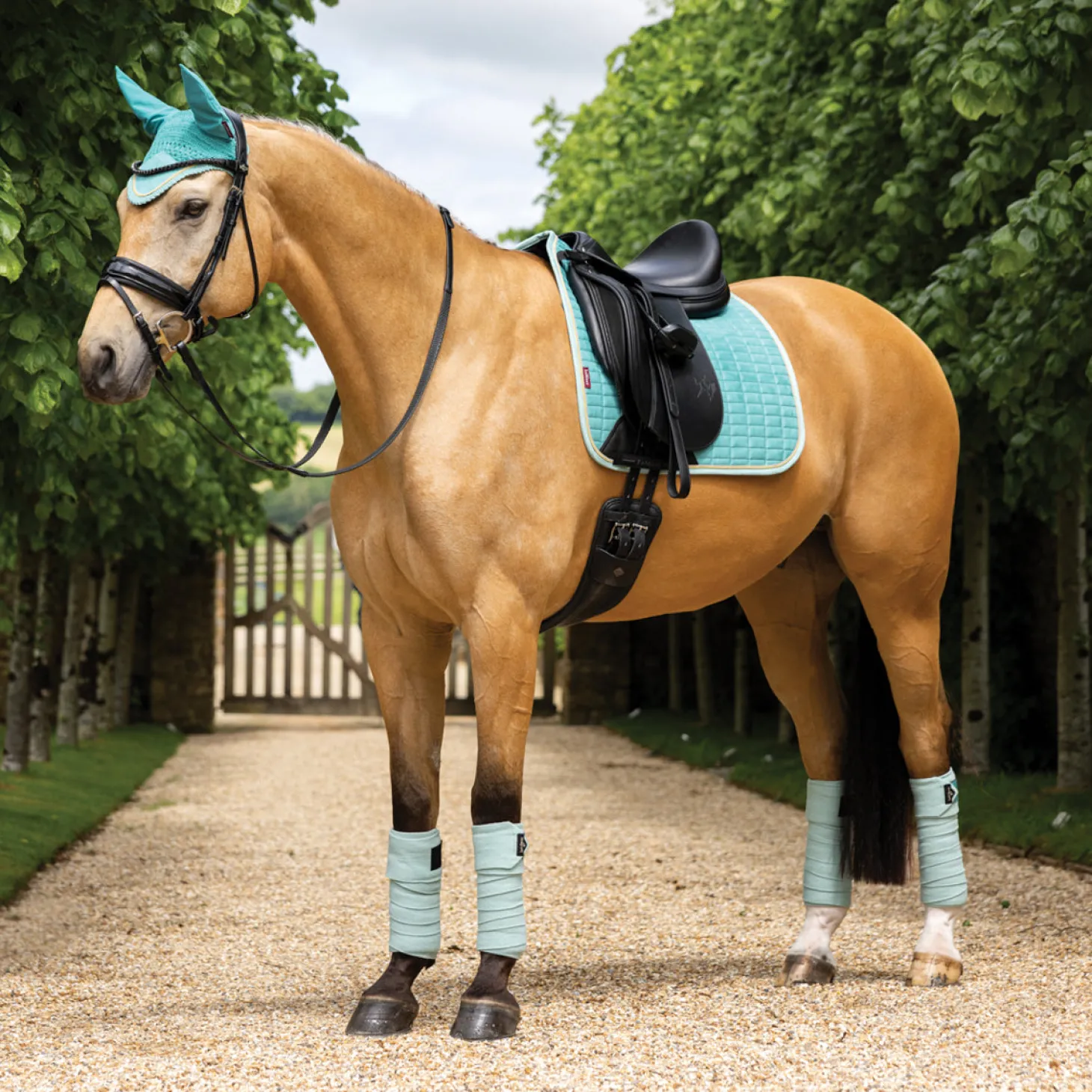 LeMieux® Suede Dressage Pad