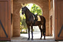 LeMieux® Suede Dressage Pad