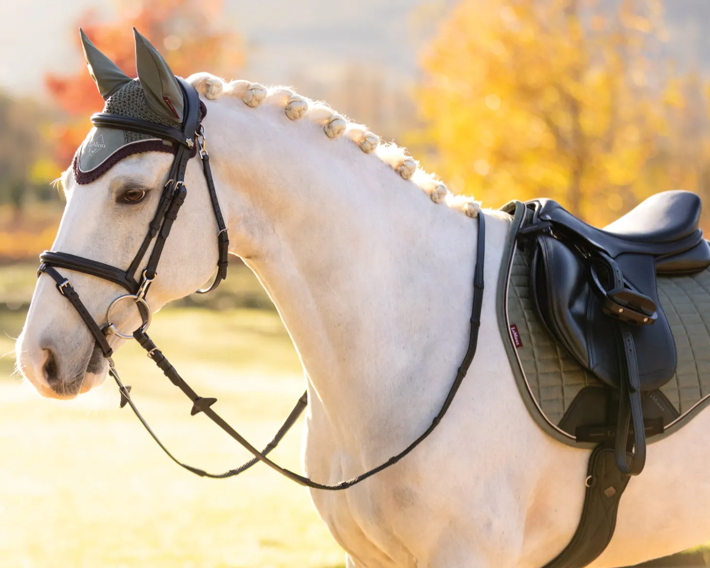 Lemieux® Suede General Purpose Saddle Pad