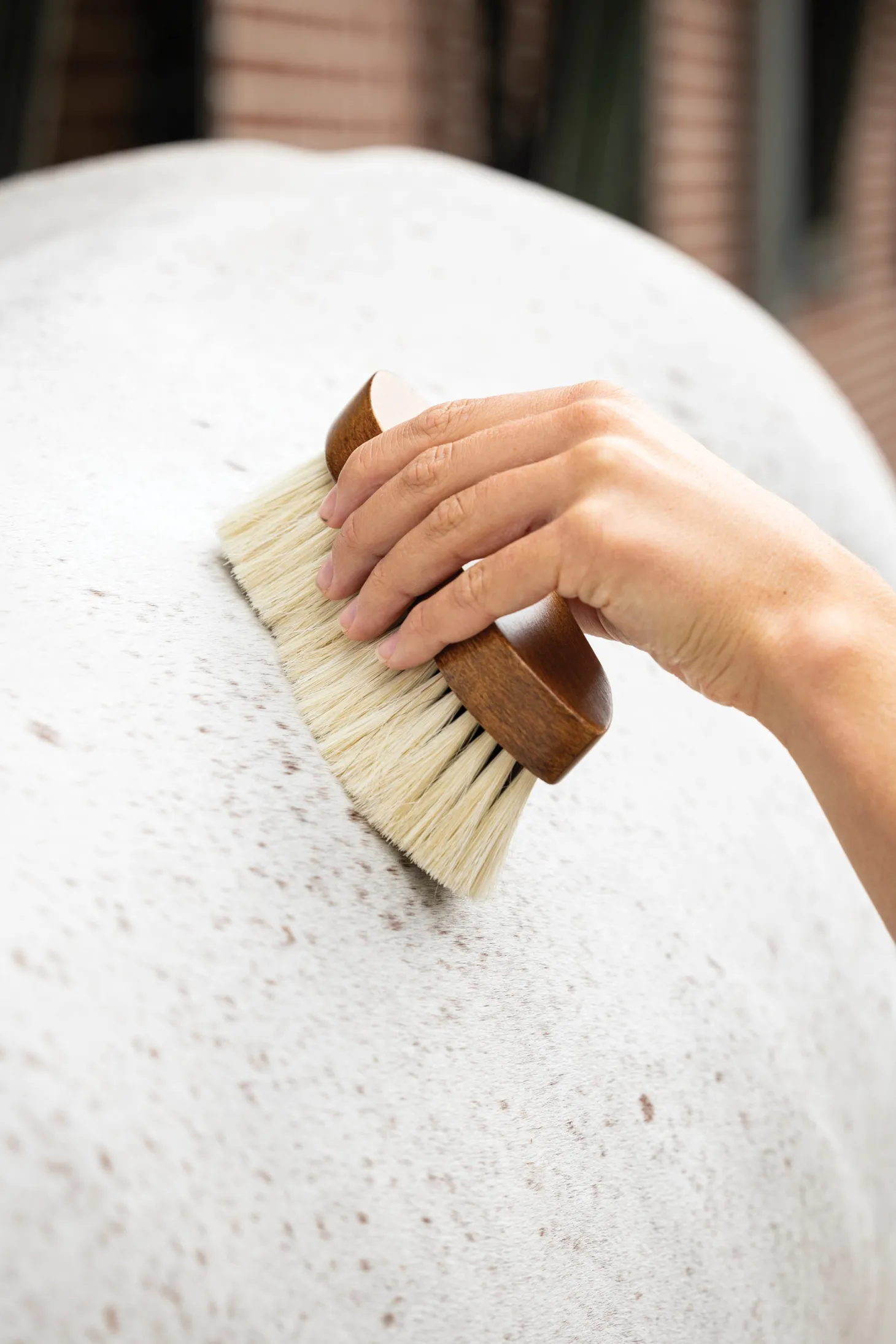 LeMieux® Artisan Deep Clean Dandy Brush