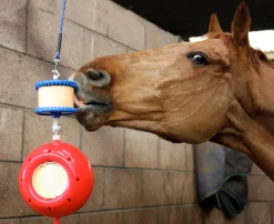 Likit™ Boredom Breaker™