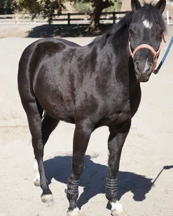 Majyk Equipe® Leather Jump Boots with Removable Impact Liners (Snap Closure)