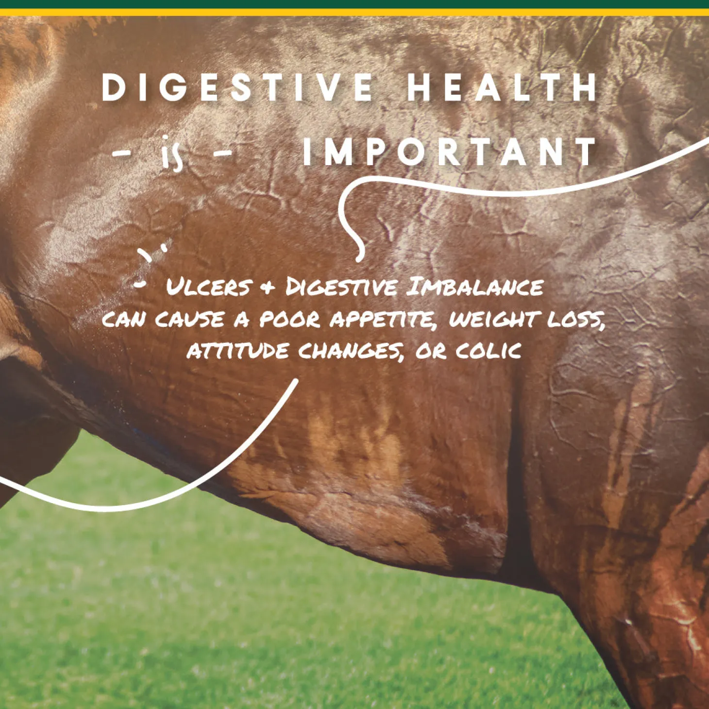 Manna Pro® Corta-Flx® U-Gard™ Pellets, 4 Pounds