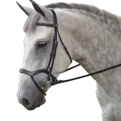 Marcel Toulouse Hybrid Dressage Bridle