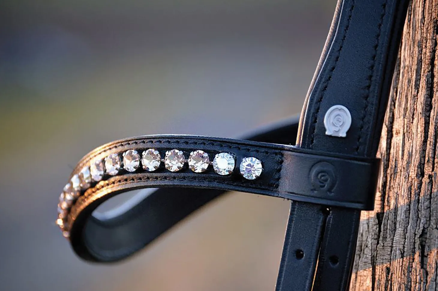 Otto Schumacher Fancy Stone Browband