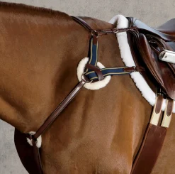 Ovation® 4-Star 5-Point Eventing Breastplate