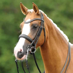 PassierBLU® Dream Double Bridle