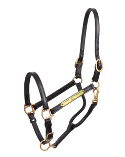 Perri’s® 3/4" Premium Leather Show Halter with Nameplate