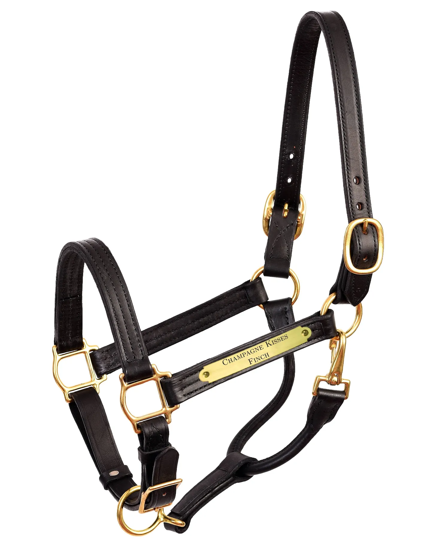 Perri’s® 1" XL Stallion Premium Leather Show Halter with Nameplate