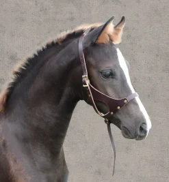 Perri’s® Leather Foal Halter