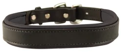 Perri’s® Padded Leather Nameplate Dog Collar