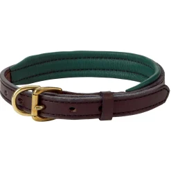 Perri’s® Padded Leather Nameplate Dog Collar