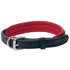 Perri’s® Padded Leather Nameplate Dog Collar