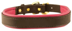 Perri’s® Padded Leather Nameplate Dog Collar